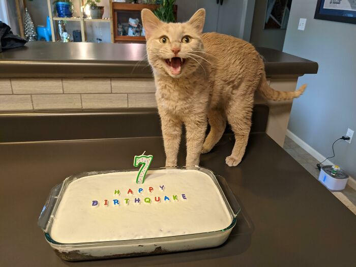 It Is Earthquake's Birthday Today!