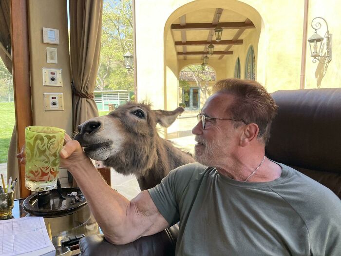 Arnold Schwarzenegger: "Lulu Wants Me To Share Absolutely Everything With Her Now. Lockdown Has Spoiled Her."