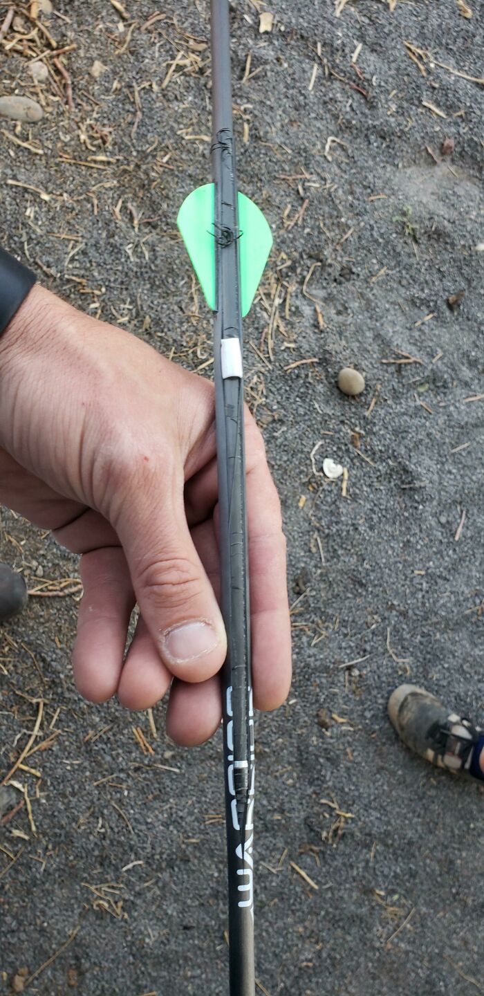 I Actually Robin Hooded An Arrow