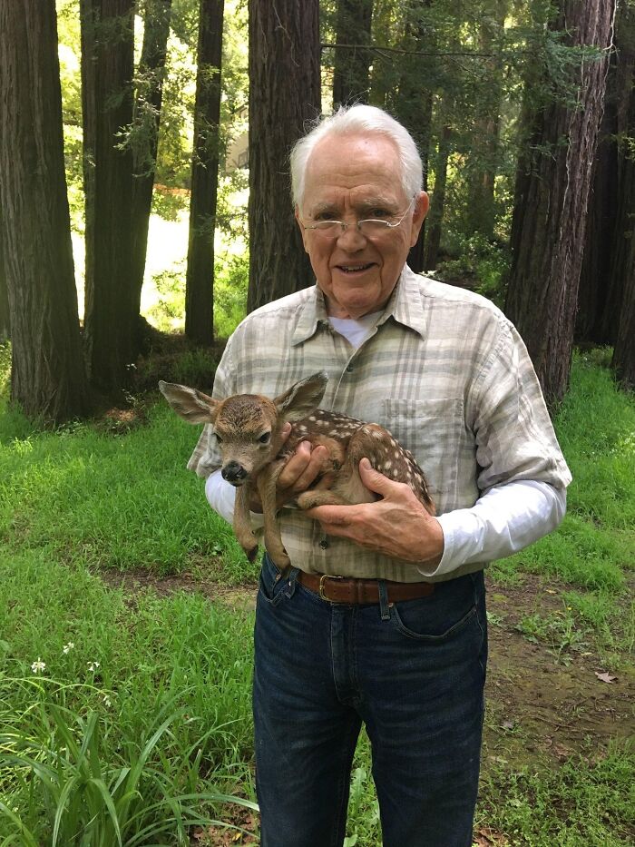 My Grandpa Rescued An Abandoned Baby Deer