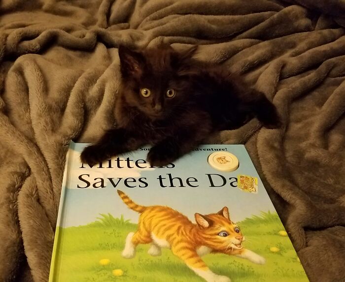 She Demands The Same Story Every Night