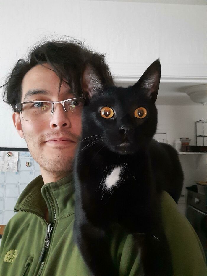 My Personal Space Invader Who Demanded "Uppa" This Morning