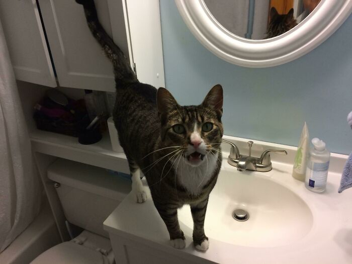 I Demand Immediate Activation Of The Hydration Device! You Will Comply