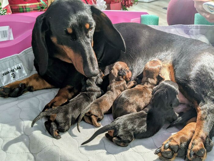 I Guess They Were Right About Everyone Having Pandemic Babies