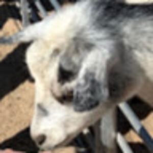 emeryblackburn avatar