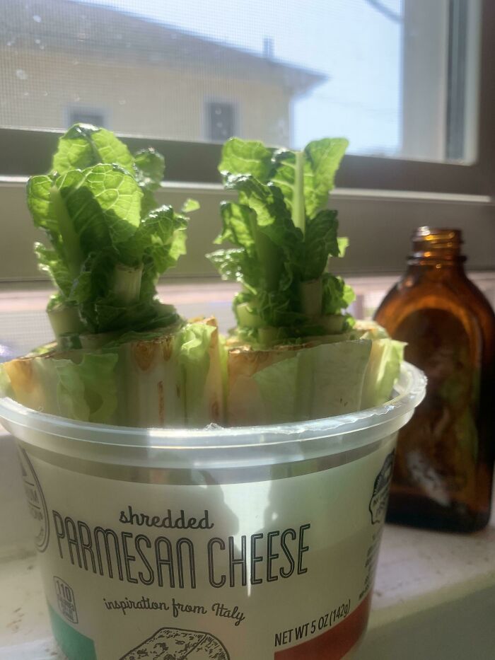 Update... This Is One Week !