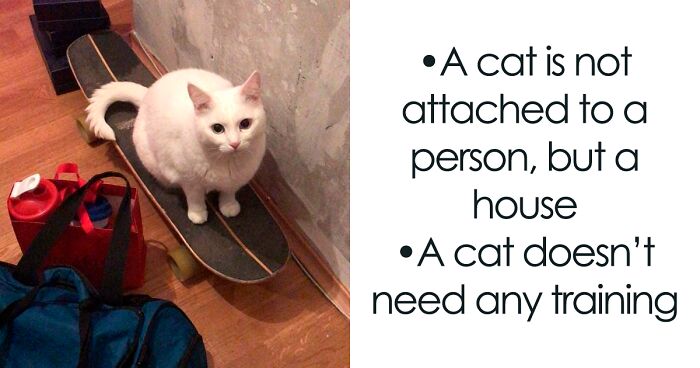 Cat Psychologist Busts 13 Myths About Cats And All Cat Owners Should Know Why These Myths Are Wrong