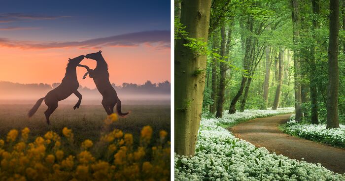 Spring In The Netherlands Is Magical, Here Are My 30 Photos To Prove It