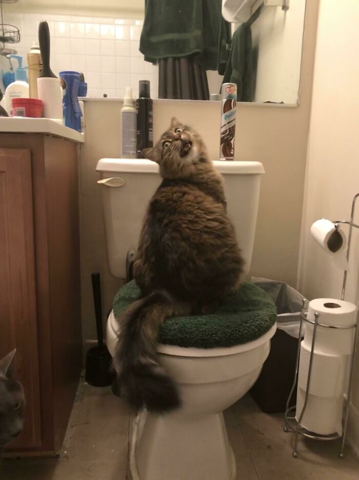 Yelling At Me Because She Didn’t Like That I Was In The Bathtub