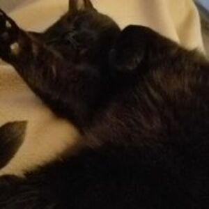 jennifer_millner avatar