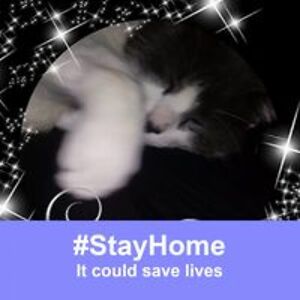 theresa_cronin avatar