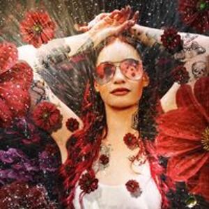 guatemalandave11 avatar