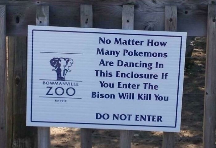 The Bison *will* Kill You