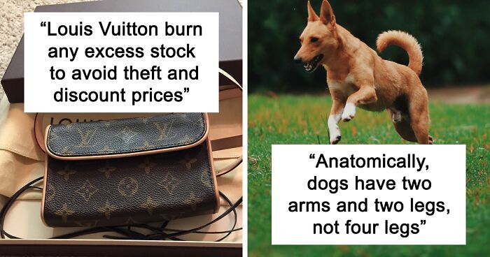 50 New ‘Today I Learned’ Facts That Prove It’s Never Too Late To Learn Something New