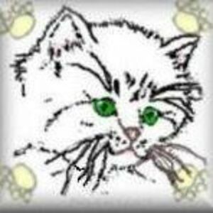 catsmeowcentral1 avatar