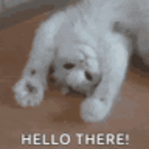 christianblock23485 avatar