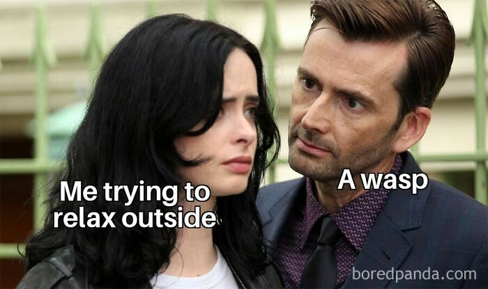 Funny meme of a person trying to relax outside, being confronted by a wasp.