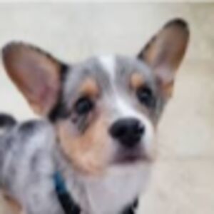 paytonneubauer avatar