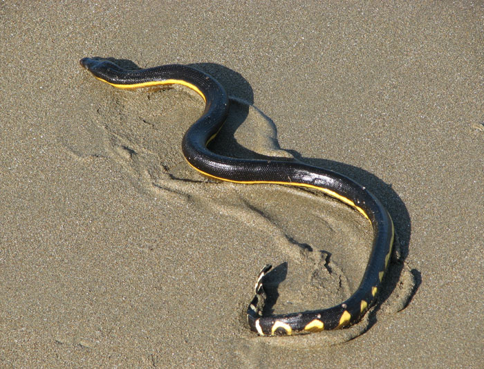 50 New ‘Today I Learned’ Facts That Prove It’s Never Too Late To Learn Something New