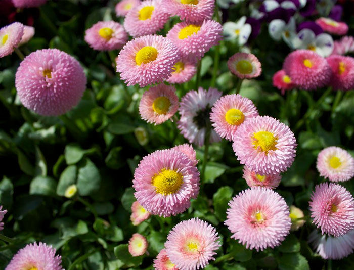 50 New ‘Today I Learned’ Facts That Prove It’s Never Too Late To Learn Something New