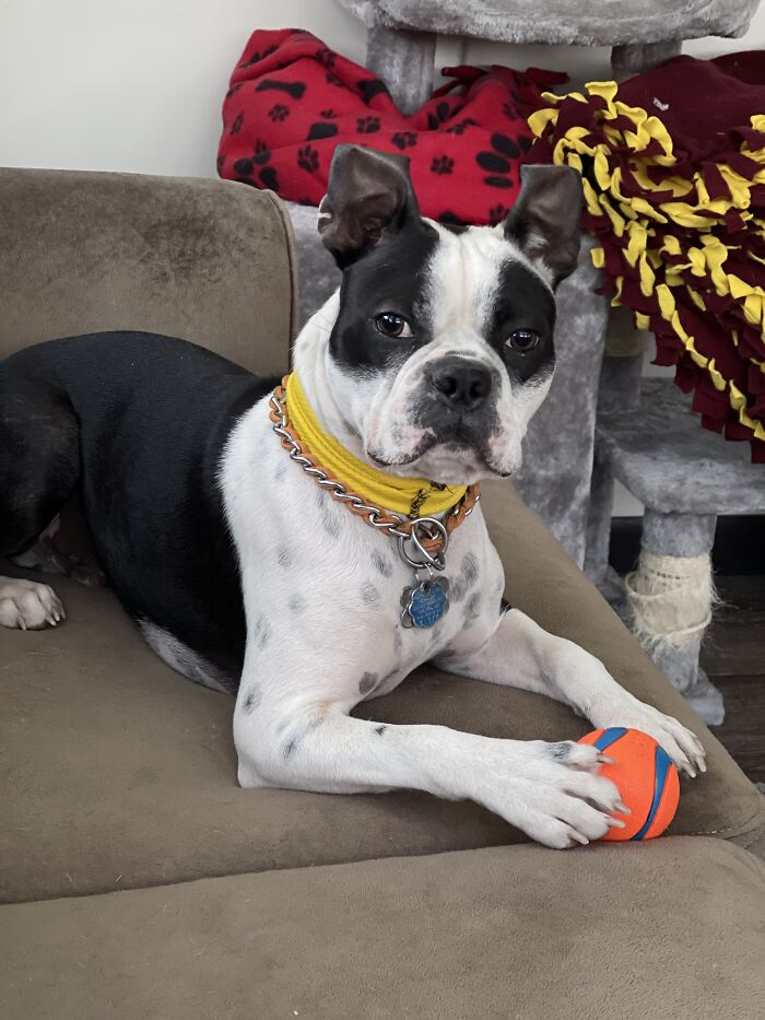 This Accidental "Senior Grad" Pic I Took Of Finnley