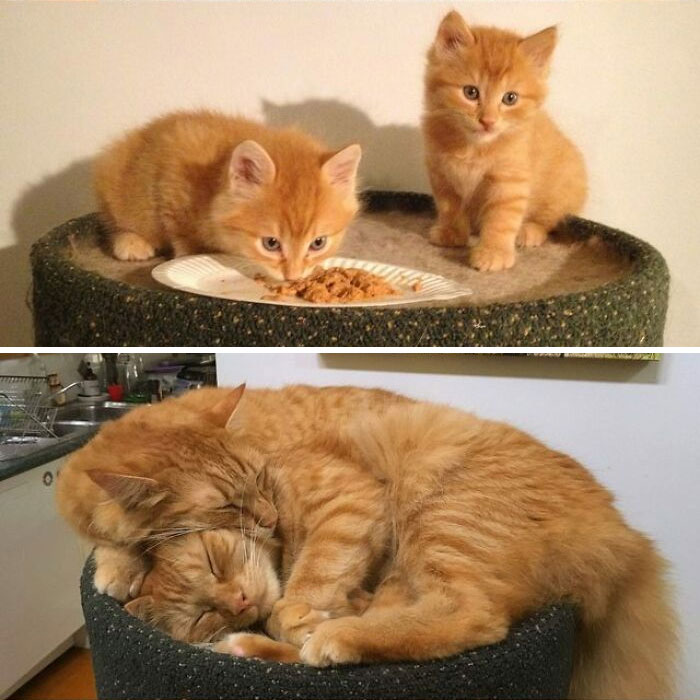 They Grow Up So Fast!