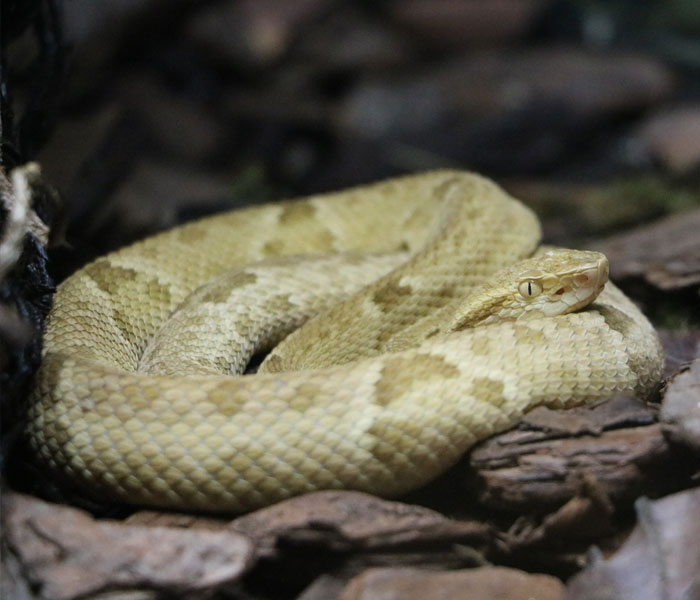 50 New ‘Today I Learned’ Facts That Prove It’s Never Too Late To Learn Something New