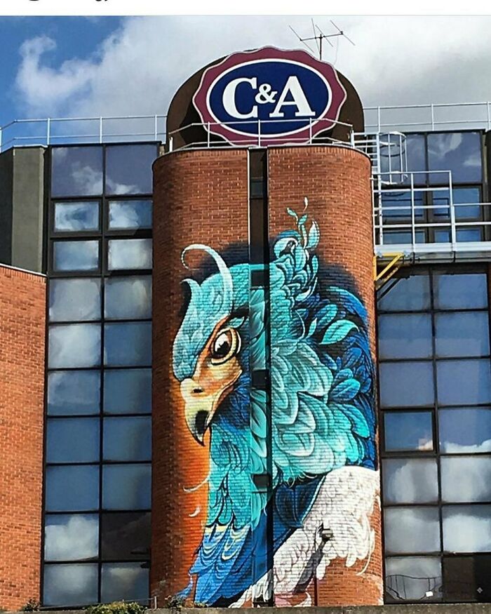 Murals-Wildlife-Instagram-Fio-Silva