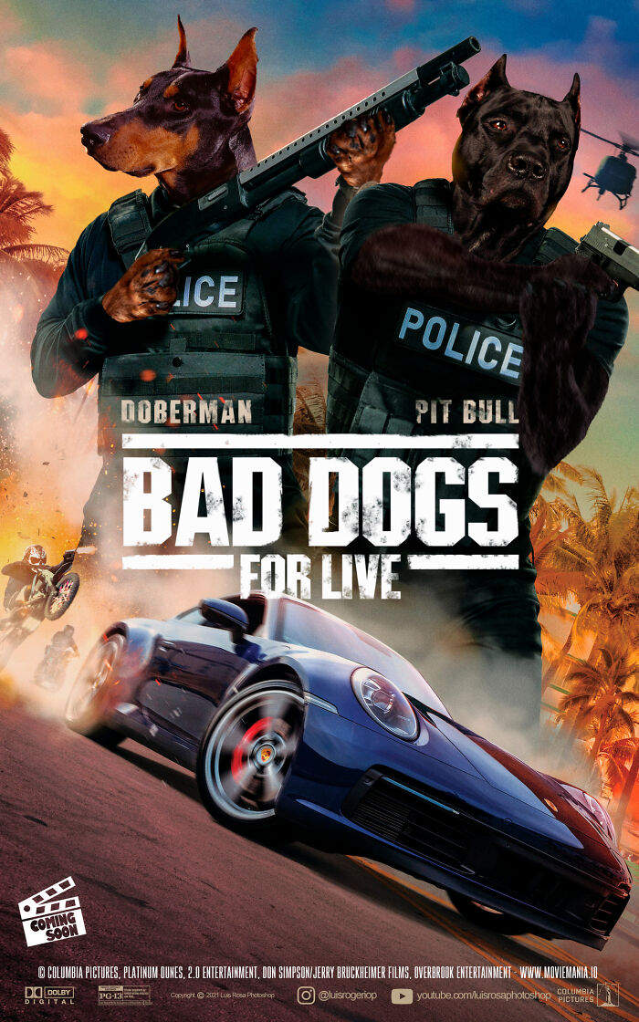 Bad Dogs For Live
