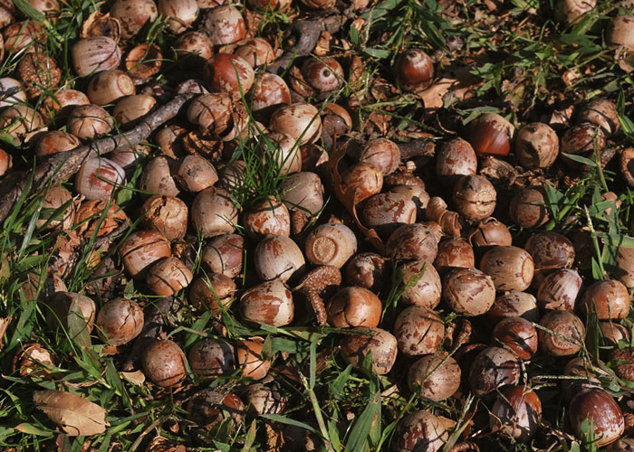 50 New ‘Today I Learned’ Facts That Prove It’s Never Too Late To Learn Something New