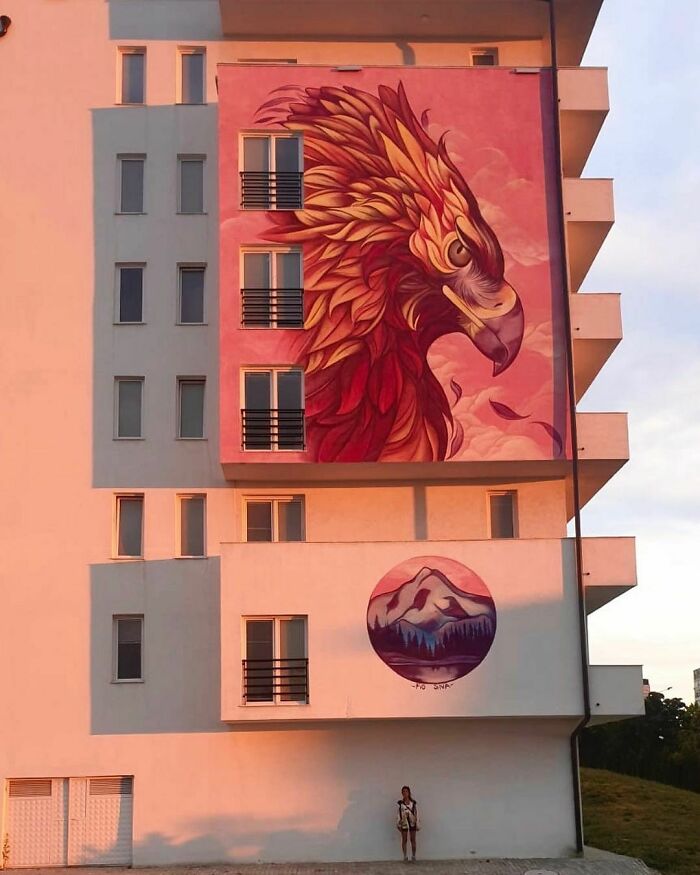 Murals-Wildlife-Instagram-Fio-Silva
