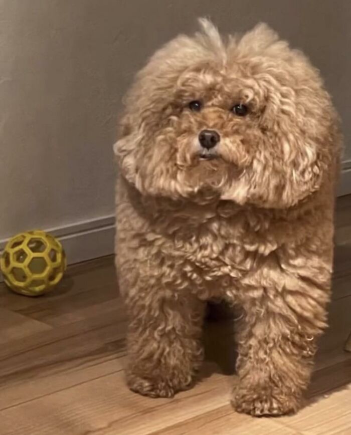 He's A Little Sus, But I Love Him.