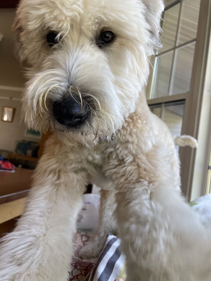 My Little Fuzzy Bug Steadying The Camera