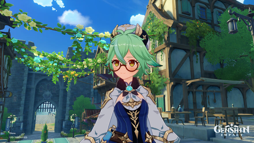 I Had A Screenshot From Genshin Impact