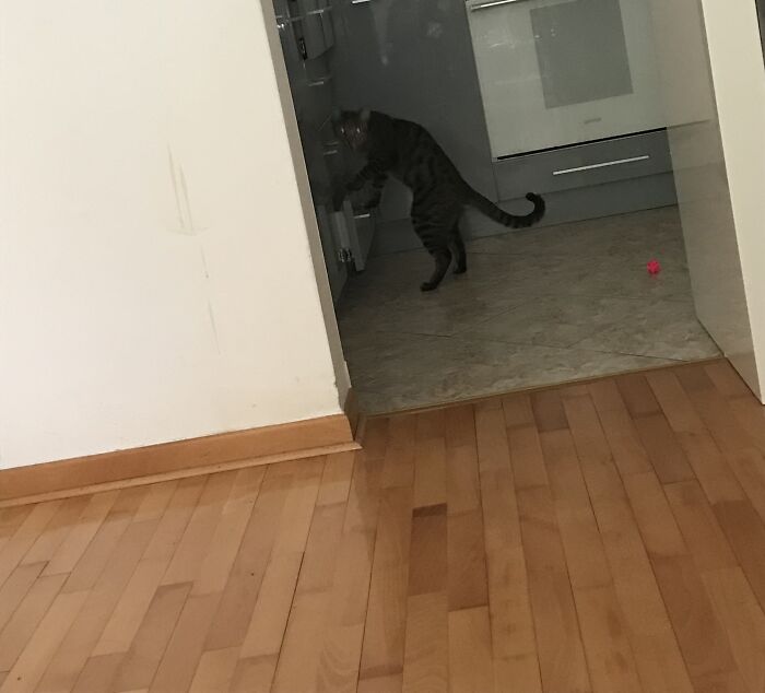 What?! I‘M Starving🤨