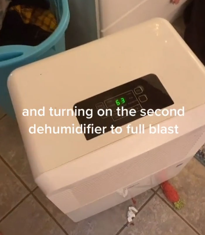 Landlord Wants To Increase The Rent, Tenant 'Sabotages' Apartment Showings By Putting Every Problem In Her Apartment On Display Landlord Wants To Increase The Rent, Tenant 'Sabotages' Apartment Showings By Putting Every Problem In Her Apartment On Display