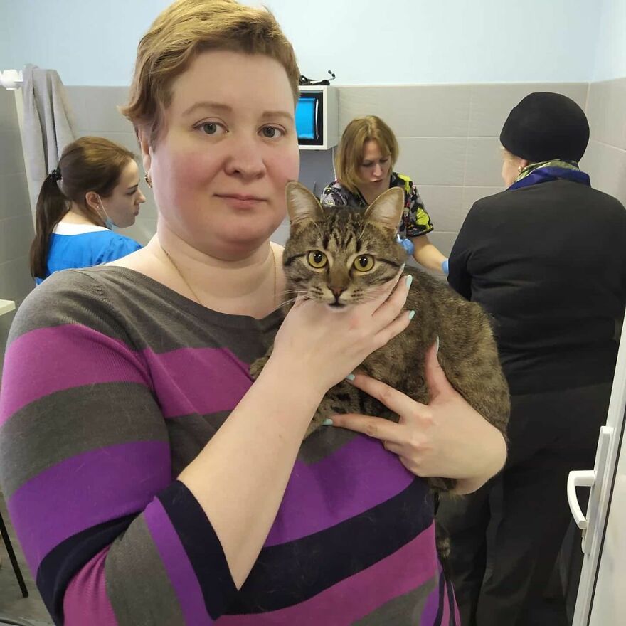 Cat Psychologist Busts 13 Myths About Cats And All Cat Owners Should Know Why These Myths Are Wrong Cat Psychologist Busts 13 Myths About Cats And All Cat Owners Should Know Why These Myths Are Wrong