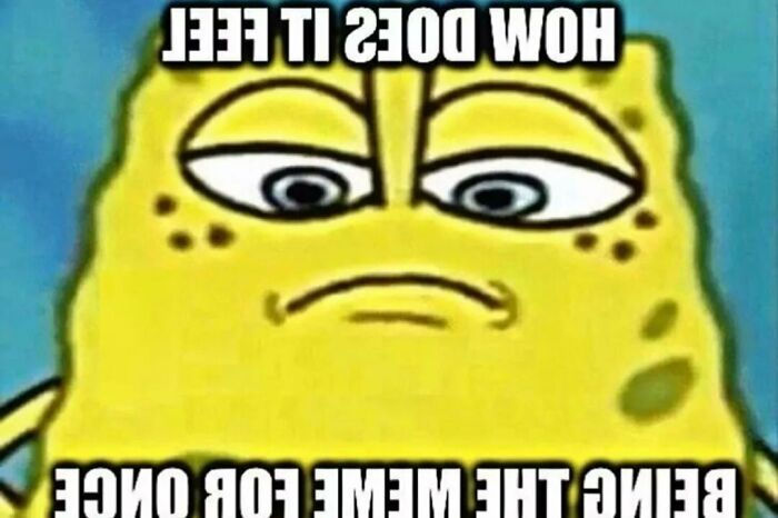 Y’all Not Ready For My Camera Roll.