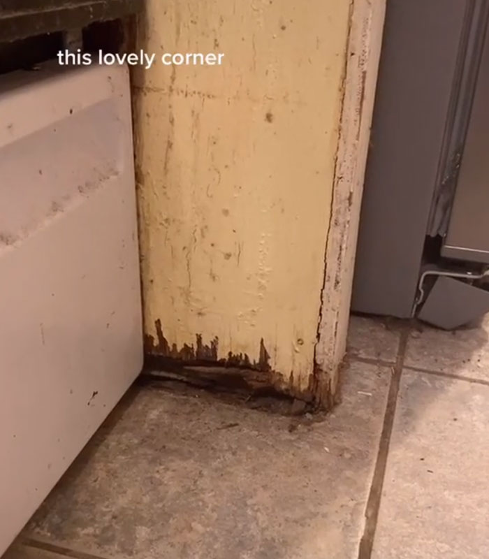 Landlord Wants To Increase The Rent, Tenant 'Sabotages' Apartment Showings By Putting Every Problem In Her Apartment On Display