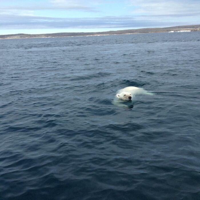 Most Of The Crap Here Was In My Shorts!