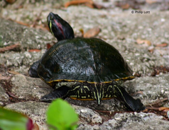 10 Pictures Of Animals With Cute Butts