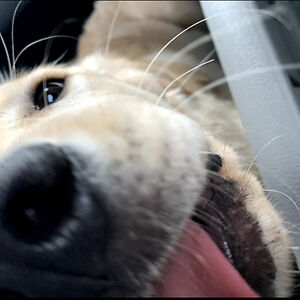 graysonpaige11 avatar