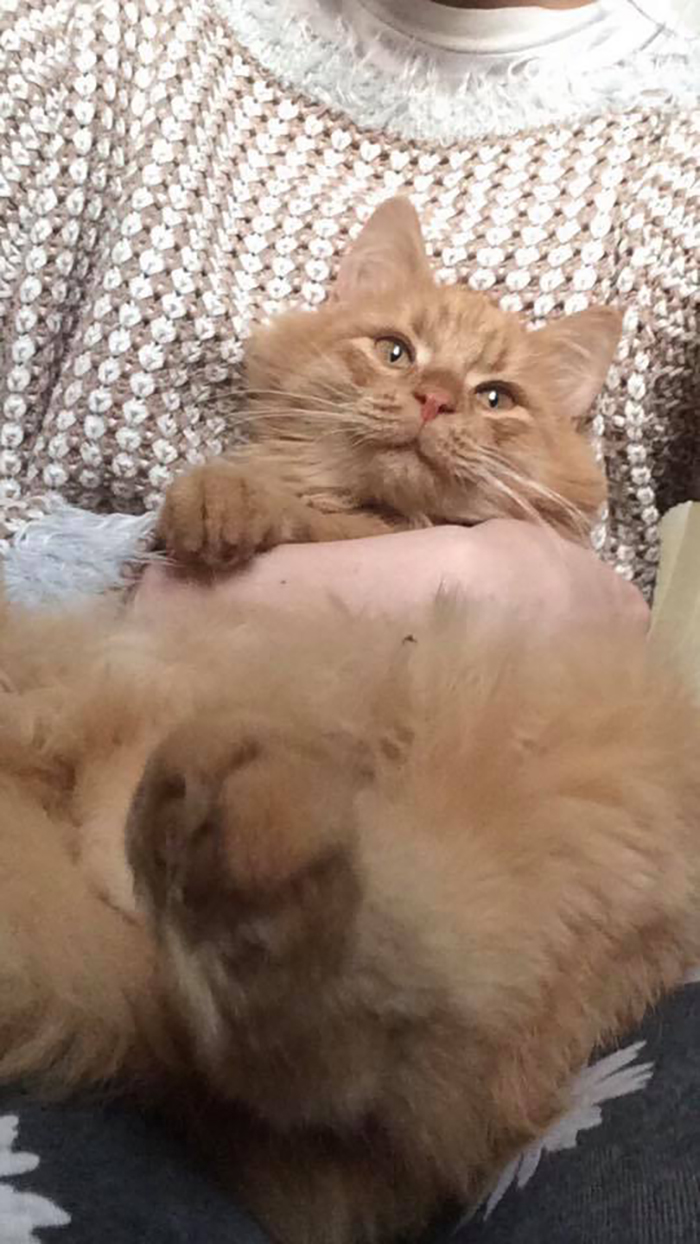 I Dont Know Where He Was Looking At