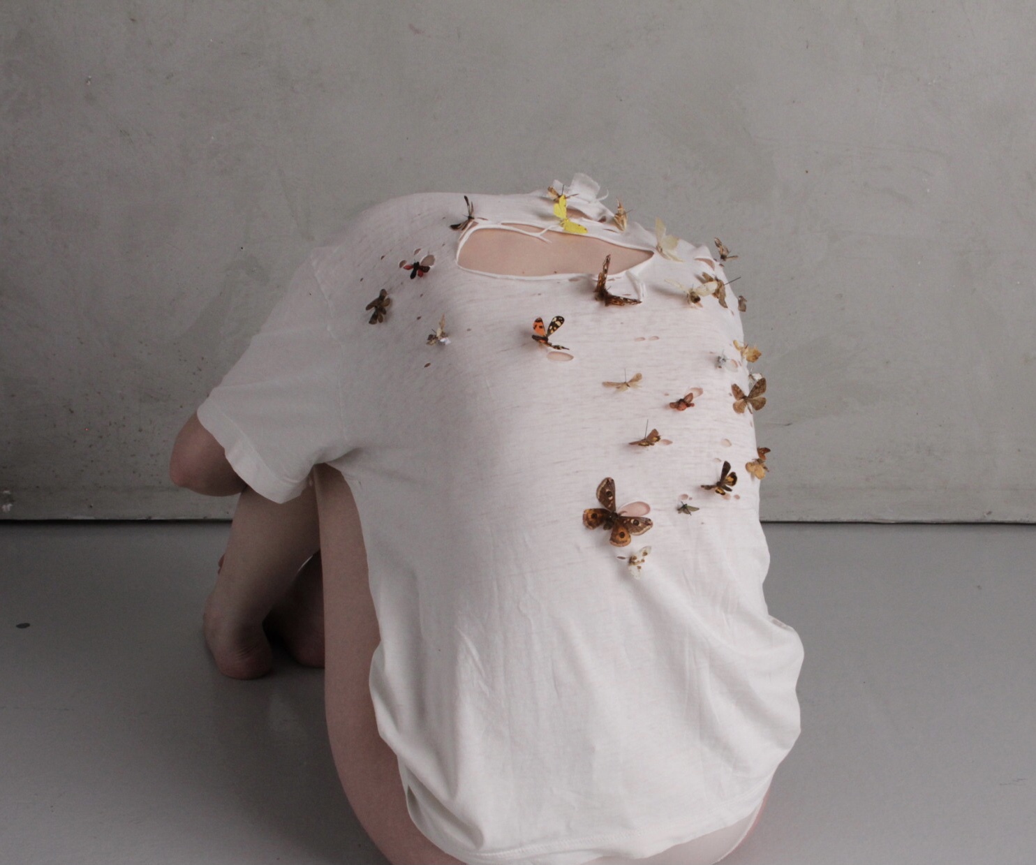 For My Father/ Moths