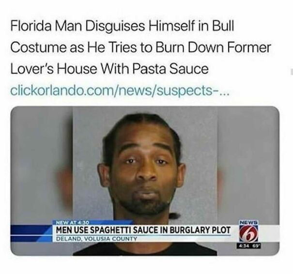 10 Of My Favorite Florida Man Posts