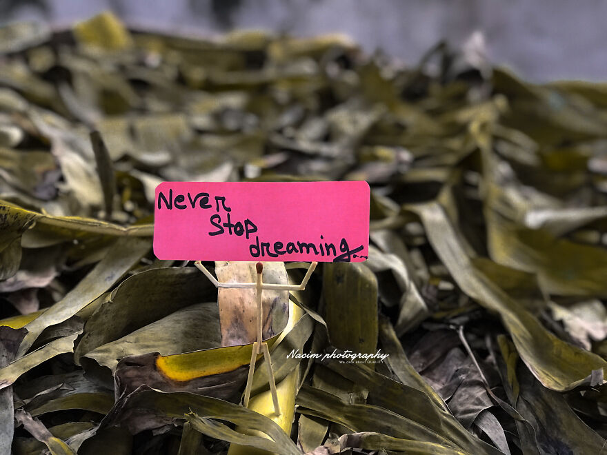Never Stop Dreaming