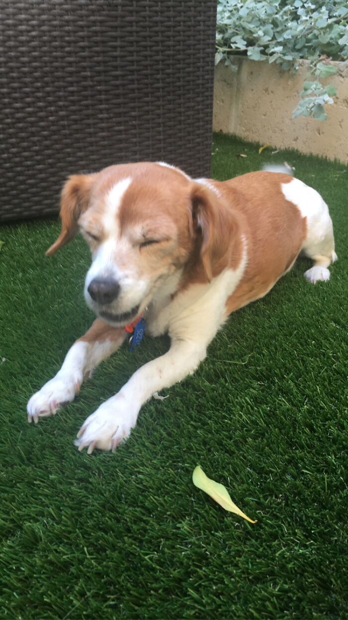 Caught Her Mid-Yawn :)