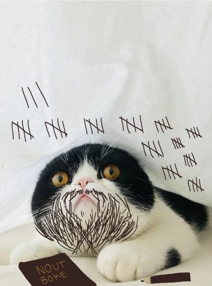 Day: 58..... (Make Up Different Stories In The Chat)