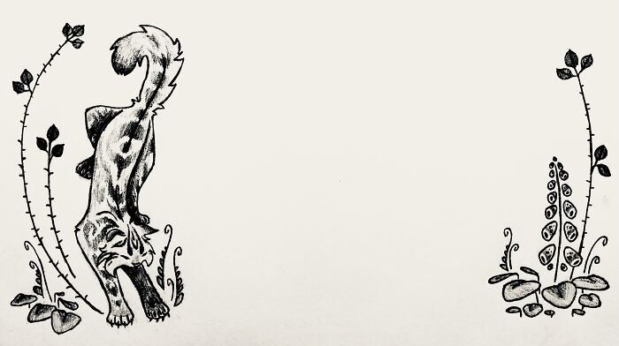 Chapter Heading For My Fanfiction. The Title Goes In The Empty Space