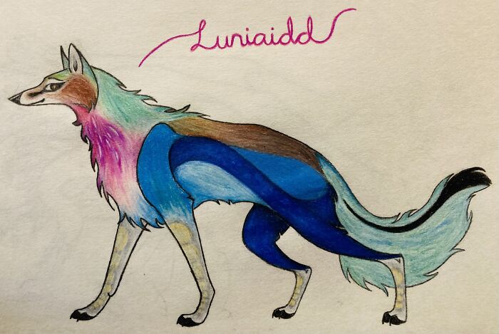 Luniaidd. Can You Guess What Bird Inspired Her Markings? Tell Me In The Comments!